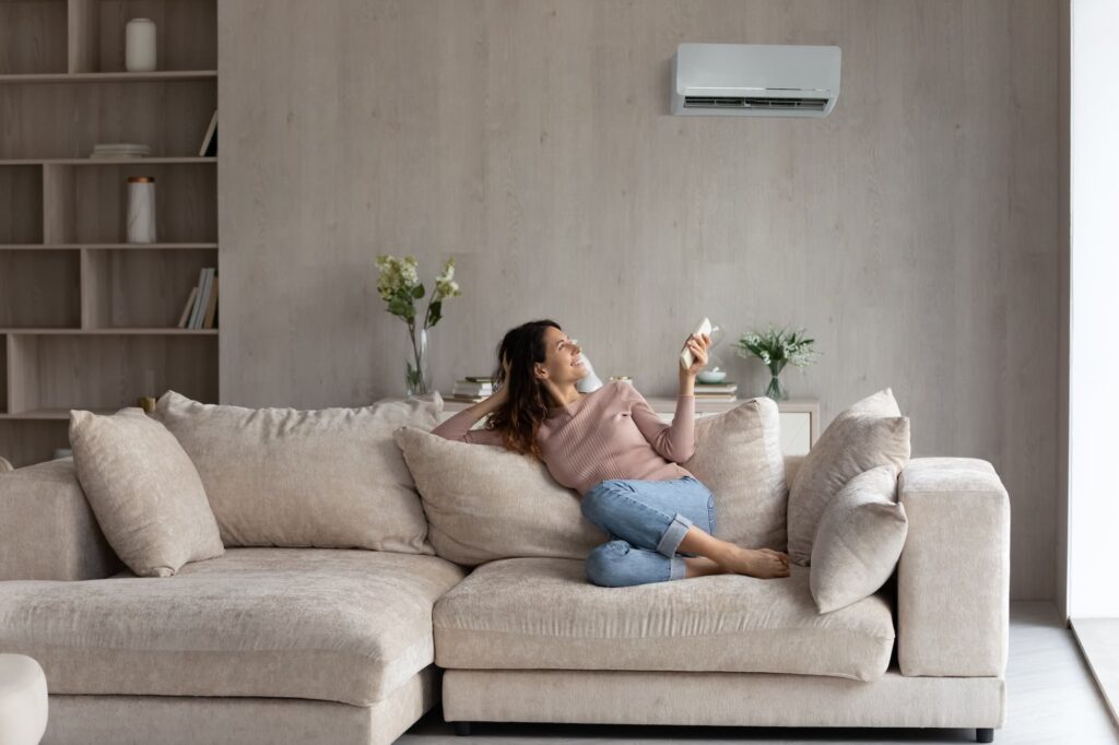 Hvac Relaxing In A Living Room With Wall Mounted Air Conditioner